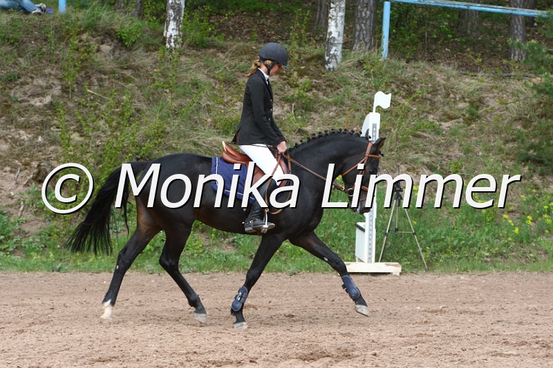 004M2278_Don Novell_Stilspring WB.JPG